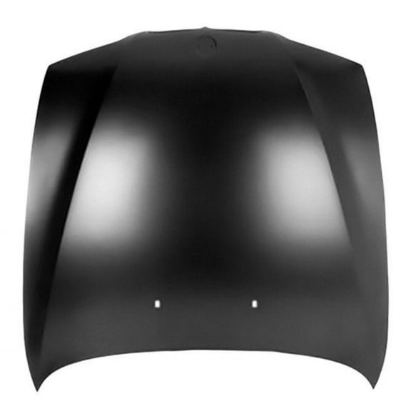 For BMW 528i 1997 1998 1999 2000 Hood Panel