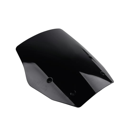 For BMW R1300GS 2024 R 1300 GS, R1300 GS, R 1300GS Motorcycle Windshield Windscreen