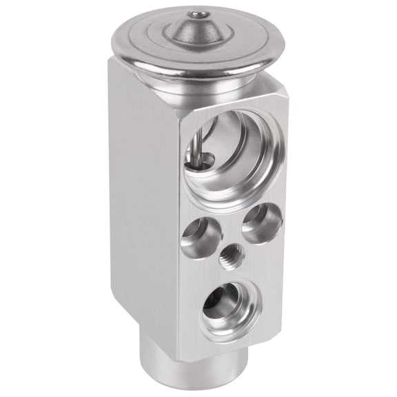 For BMW X5 2000 2001 2002 2003 2004 2005 2006 A/C AC Expansion Valve Device - BuyAutoParts