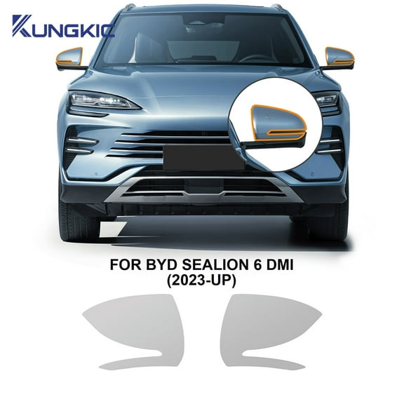 For BYD SONG PLUS DM-i SEALION 6 DM-i 2023-2025 TPU Headlight Rearview Film B C Pillars Pre-cut Anti-scratch Protection Film.