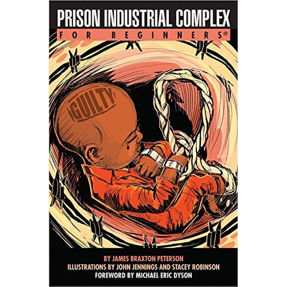 Pre-Owned Prison Industrial Complex For Beginners by James Braxton Peterson (Paperback), Nonfiction, English