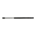 thumbnail image 1 of For Chevy Corvette 1997-2004 Hood Lift Support Driver OR Passenger Side | Single Piece | Replacement For GM1237100, 1 of 2