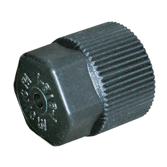 For Chevy Lumina APV C1500 Blazer Astro 1993-1994 A/C Service Valve Cap - BuyAutoParts