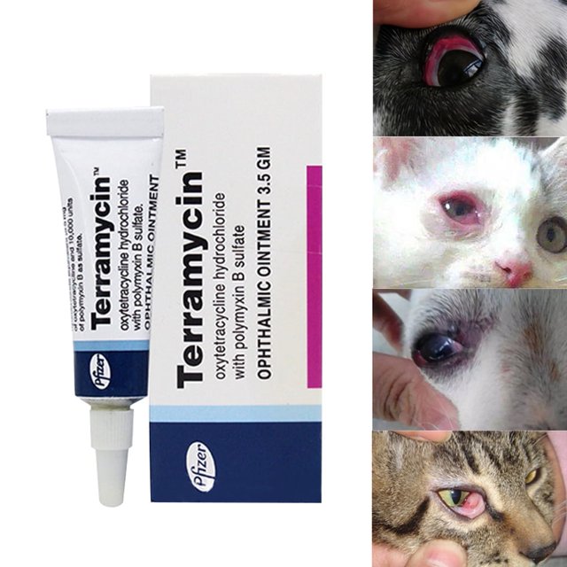 For Dog Cat Portable Terramycin Ophthalmic Ointment 3.5g Health