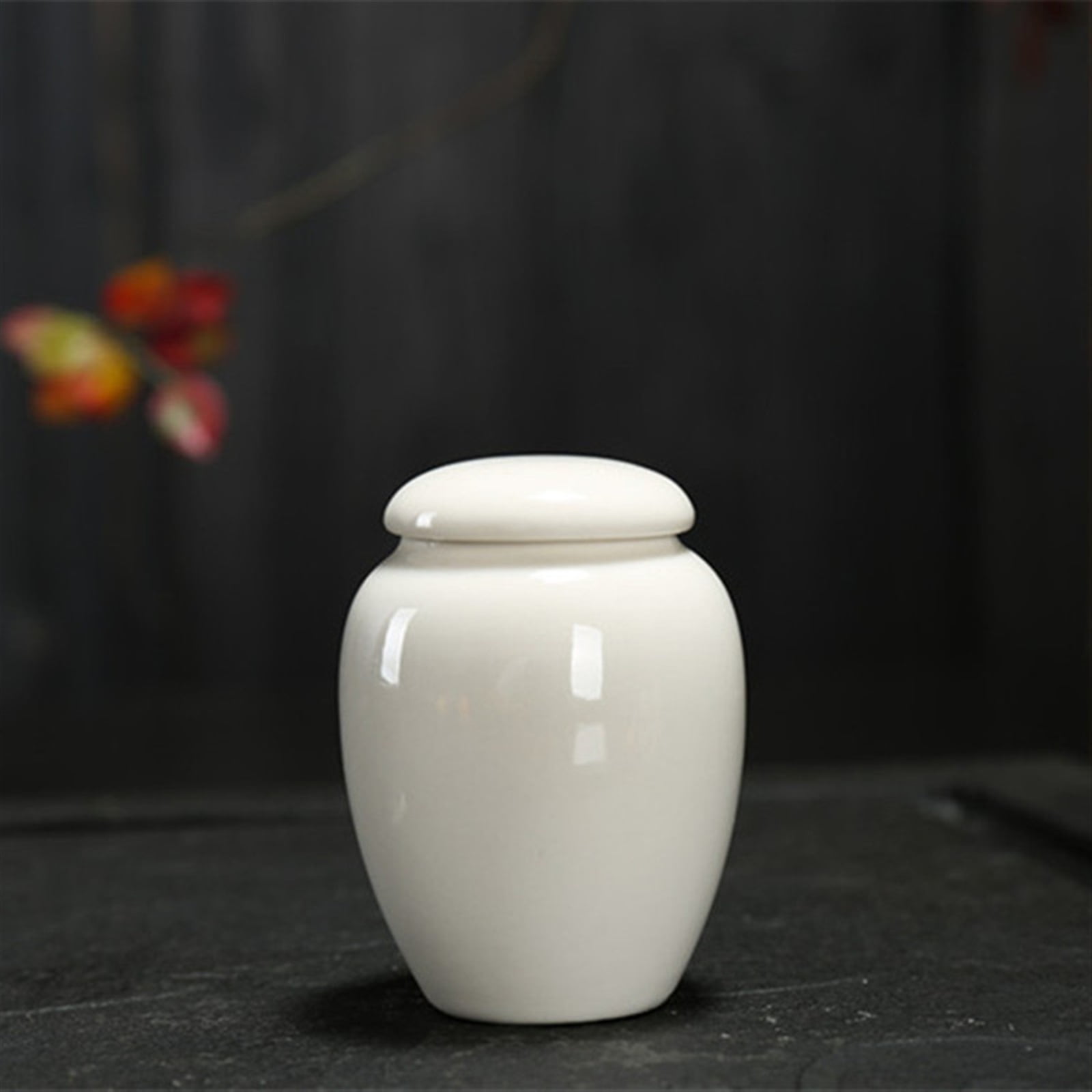 For Dogs Cats Ashes Keepsake Memorial Box Funeral Set Burial Urns For Cremated Remains Ash Vial Adult Funeral Urn Pet Cat And Dog Urn 36322
