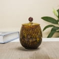 thumbnail image 1 of For Dogs Cats Ashes Keepsake Memorial Box Funeral Set Burial Urns For Cremated Remains Ash Vial Adult Funeral Urn Pet Cat And Dog Urn 66356, 1 of 8