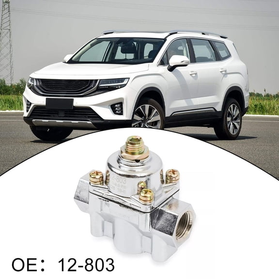 For Holley 12803 Chrome Fuel Pressure Regulator Replacement Installation