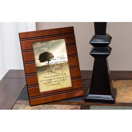 For I know the Plans I Have For You Jeremiah 29:11 Wood Finish 8 x 10 Sentimental Framed Art Plaque