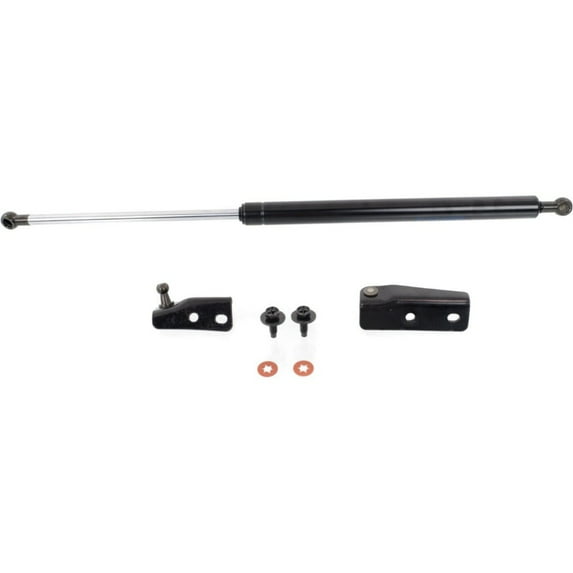 For INFINITI FX35 FX45 Liftgate Lift Support Passenger Right Side Right Hand