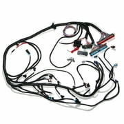 For LS1 97-06 4.8 5.3 6.0 DBC Standalone Wiring Harness T56 or Non-Electric Tran