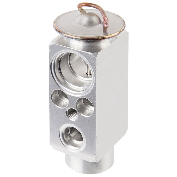 For Land Rover Range Rover & Range Rover Sport A/C AC Expansion Valve Device - BuyAutoParts