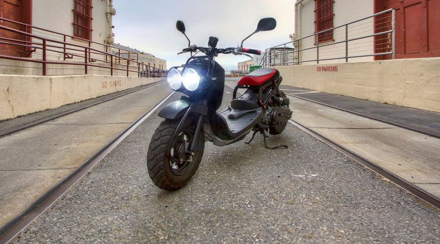 Light Sport Ruckus For The Rising Brand Super White Head Light Bulbs for Honda Ruckus (all ...