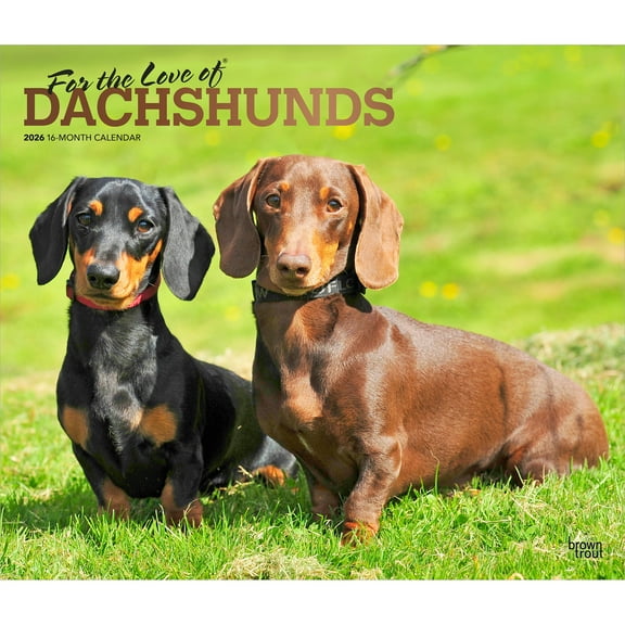 For the Love of Dachshunds | 2026 14x24" (Hanging) Wall Calendar | Plastic-Free