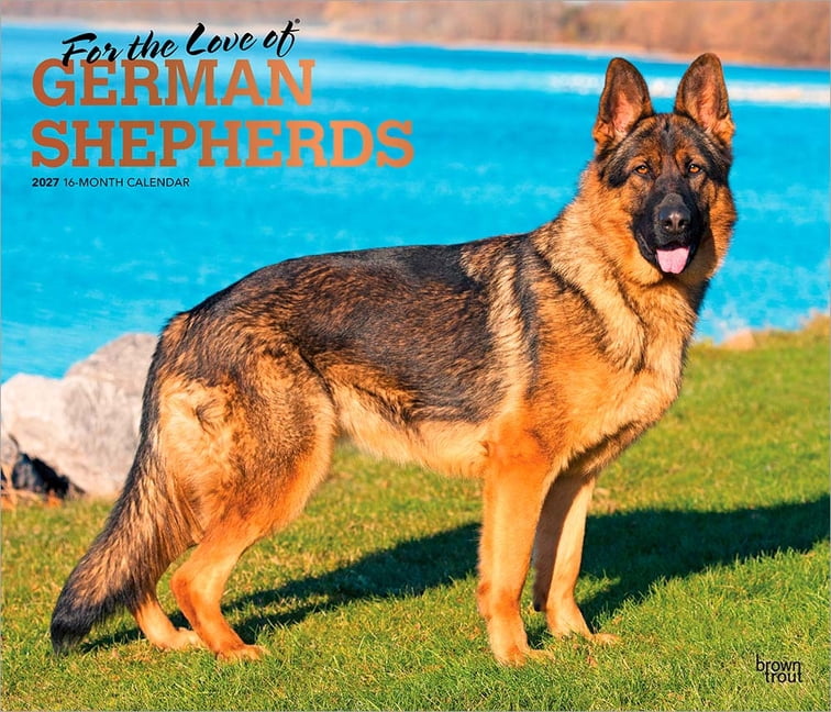 For the Love of German Shepherds 2027 14 X 24 Inch (Hanging) Monthly Deluxe Wall Calendar Foil Stamped Cover Plastic-Fre, (Paperback)