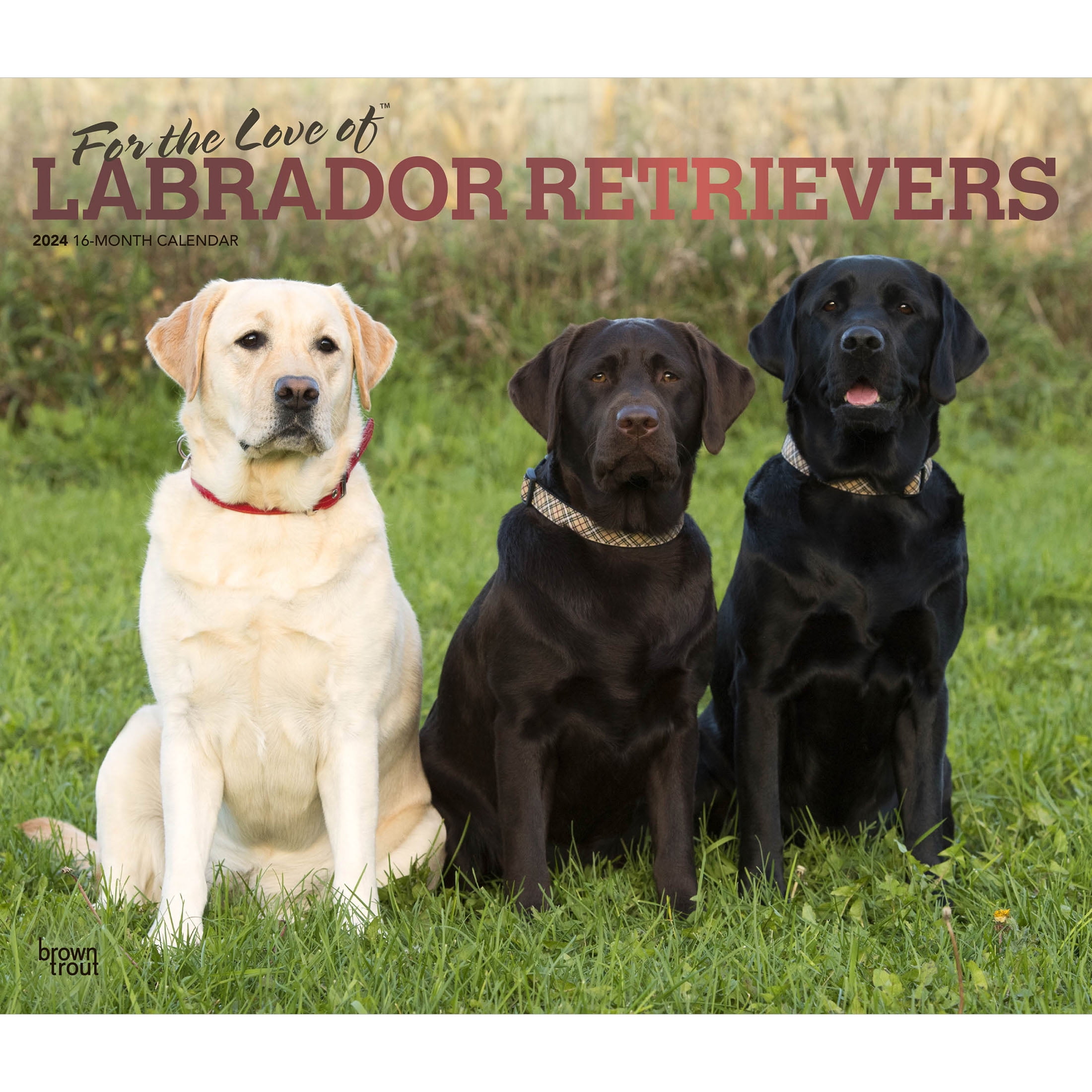 For the Love of Labrador Retrievers 2024 14x24" Wall Calendar BrownTrout