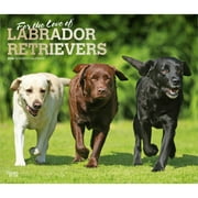 For the Love of Labrador Retrievers | 2026 14x24" Wall Calendar | Plastic-Free