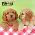 thumbnail image 1 of For the Love of Puppies | 2026 7x14" (Hanging) Mini Wall Calendar, 1 of 9