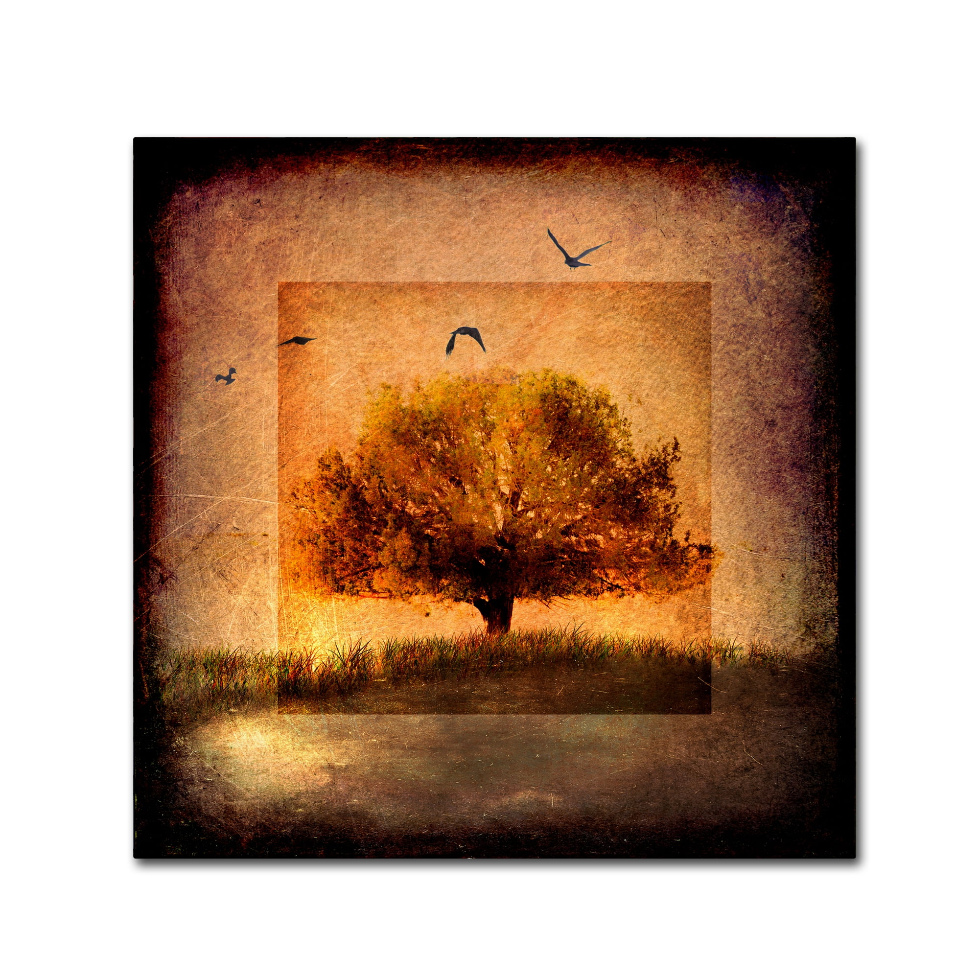 For the Love of Trees III' Canvas Art by LightBoxJournal