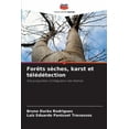 thumbnail image 1 of ForÃªts sÃ¨ches, karst et tÃ©lÃ©dÃ©tection, (Paperback), 1 of 1