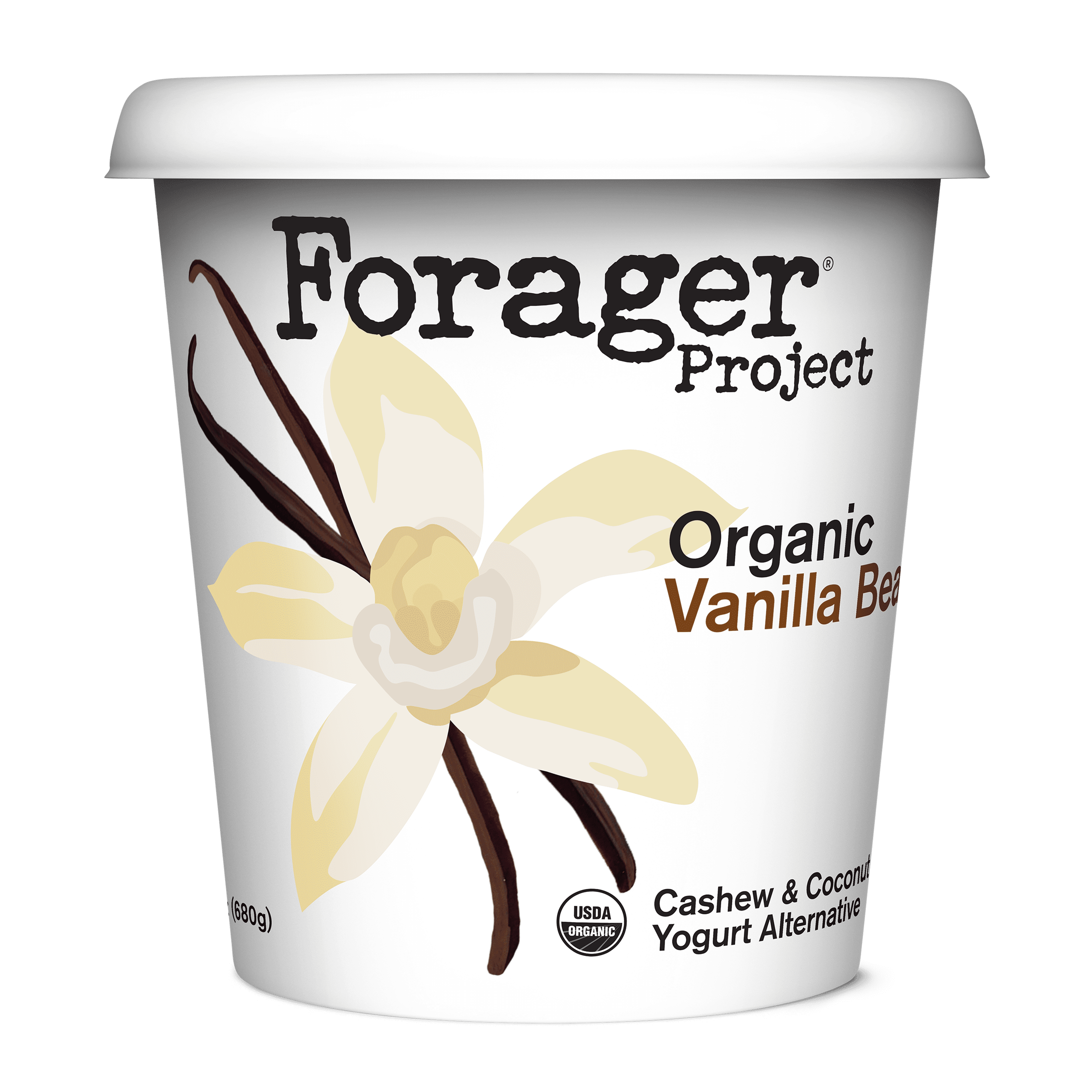 Forager Project, Organic Dairy-Free Vanilla Bean Cashewmilk Yogurt Alternative, 24 Ounce