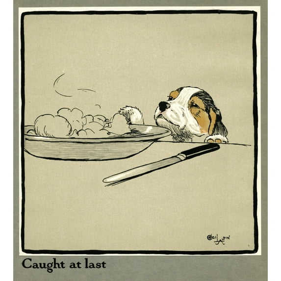 Forager The Puppy Sniffs At The Irish Stew Poster Print By Mary Evans Picture Library (24 X 36)