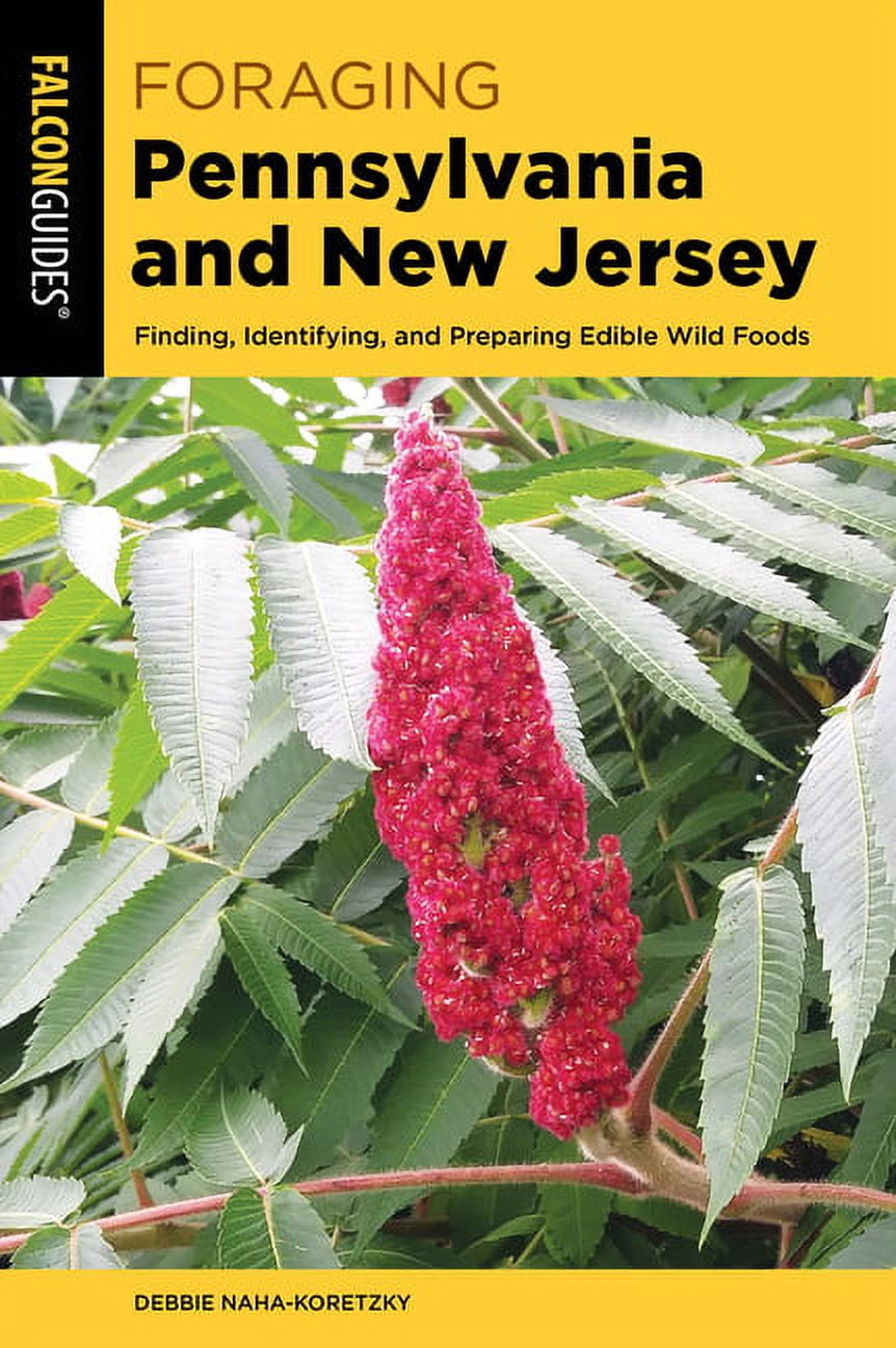 DEBBIE NAHA-KORETZKY Foraging Pennsylvania and New Jersey : Finding, Identifying, and Preparing Edible Wild Foods (Paperback)