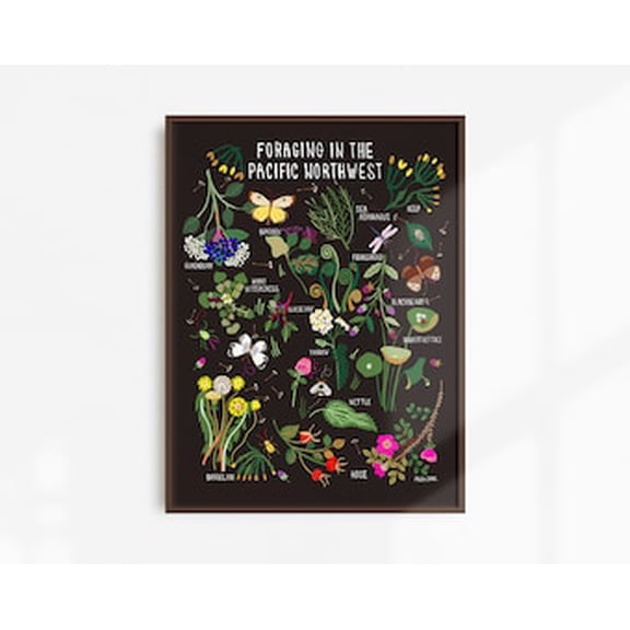 Foraging Poster Pacific Northwest Infographic Natural History Edible Plants Canada Nature Ecology Wildflowers