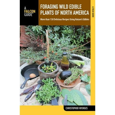 Foraging Wild Edible Plants of North America : More than 150 Delicious Recipes Using Nature's Edibles (Paperback)