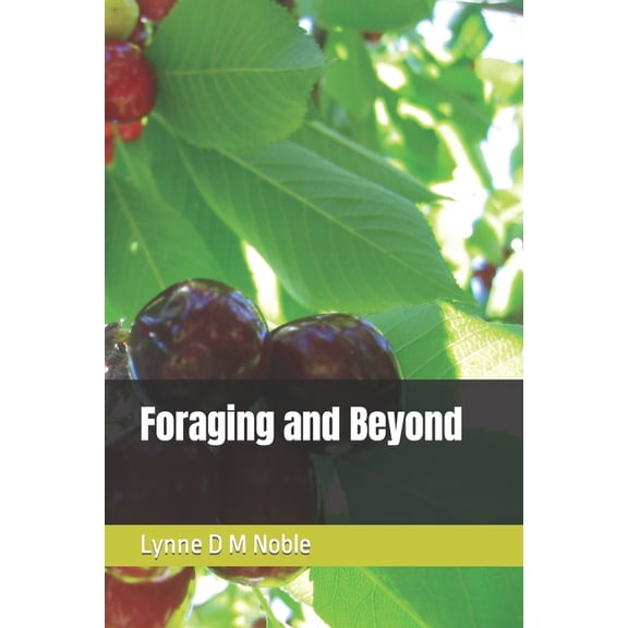 Foraging and Beyond (Paperback)