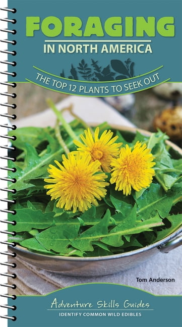 Adventure Skills Guides Foraging in North America: The Top 12 Plants to ...
