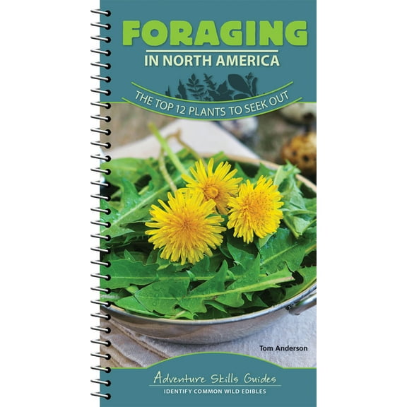 Adventure Skills Guides Foraging in North America: The Top 12 Plants to Seek Out, (Spiral-Bound)
