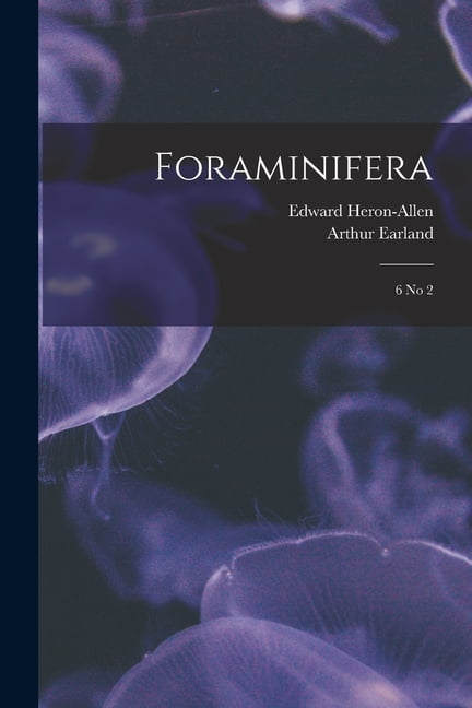 Foraminifera: 6 no 2 (Paperback)