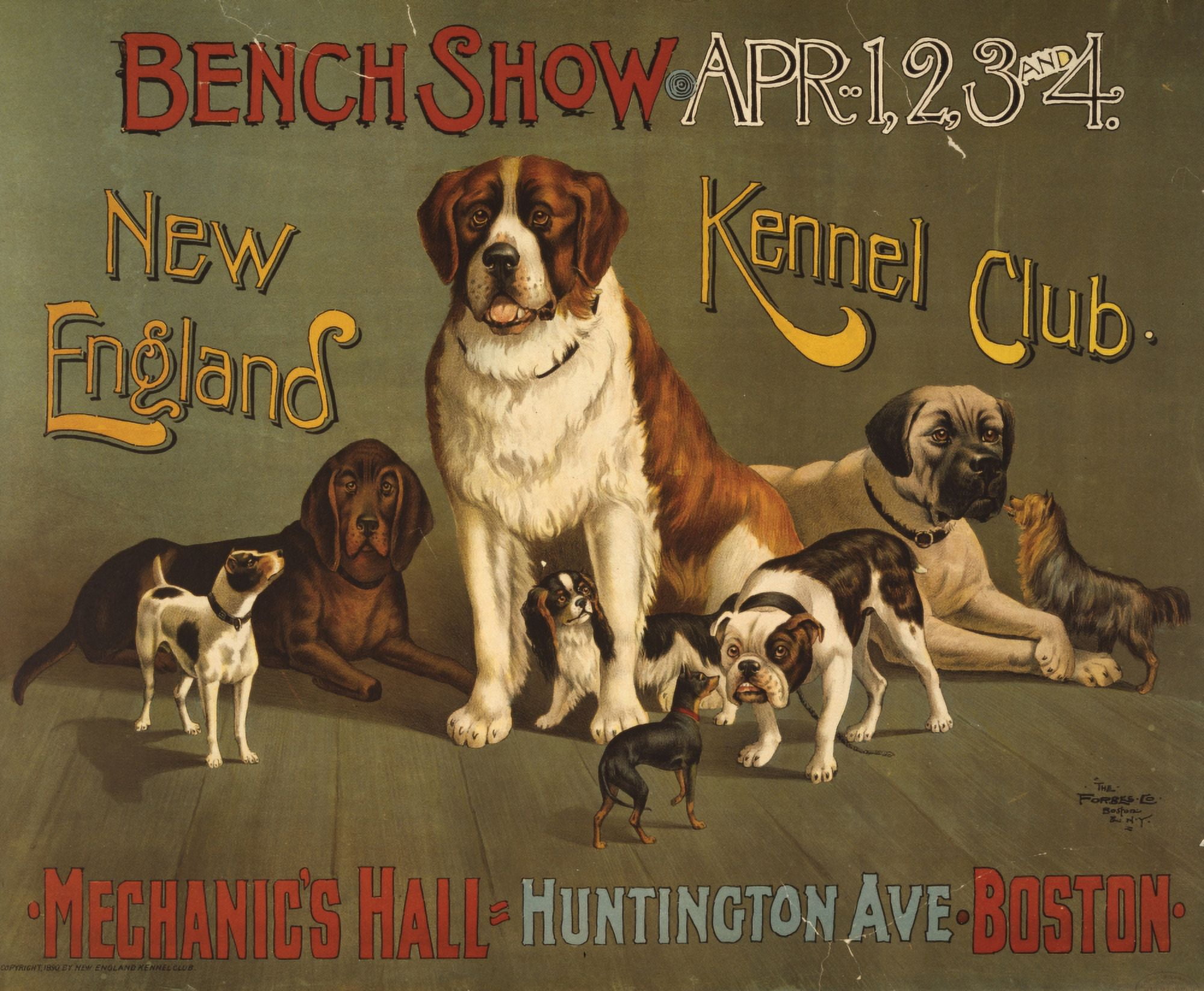 Forbes Co Poster c1890 Bench Show New England Kennel Club Canvas Art - Forbes Co (18 x 24)