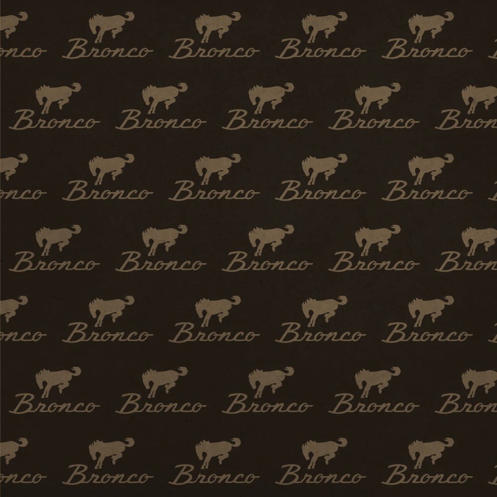 Ford Bronco Chrome Logo Premium Kraft Roll Gift Wrap Wrapping Paper