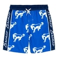 thumbnail image 1 of Ford Bronco Swim Trunks Bathing Suit UPF 50+ Newborn to Big Kid, 1 of 3