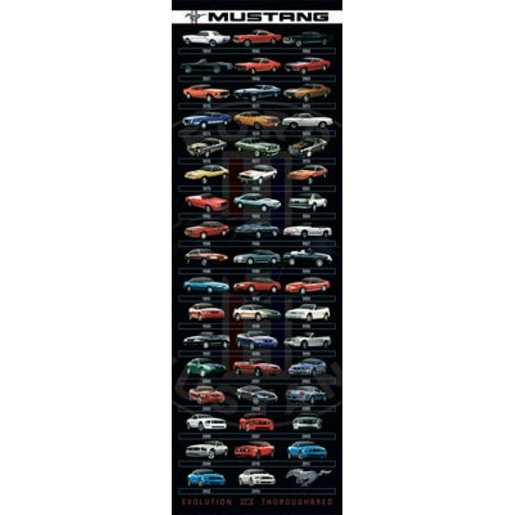 Ford - Mustang Evolution - Door Laminated Poster (12 x 36)