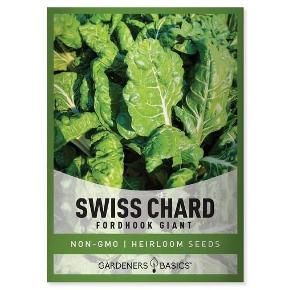 Fordhook Giant Swiss Chard Seeds