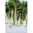thumbnail image 1 of Fordhook Giant Swiss Chard Seeds, 1 of 5