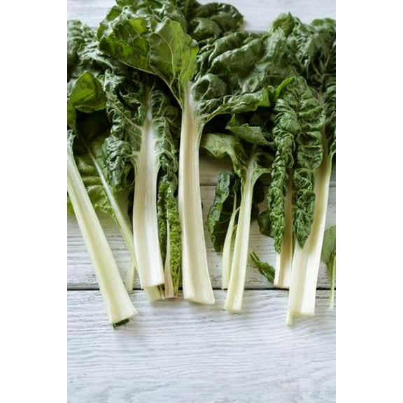 Fordhook Giant Swiss Chard Seeds