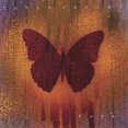 thumbnail image 1 of Fore, 1 of 1