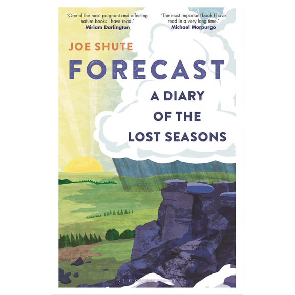 Forecast