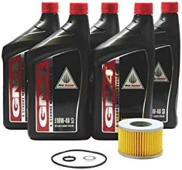 Foreman Rubicon 500 TRX500 FA FGA GPScape Oil Change Kit H37 - Walmart.com