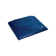 Foremost 10 ft. x 12 ft. Heavy Duty Polyethylene Tarp Blue
