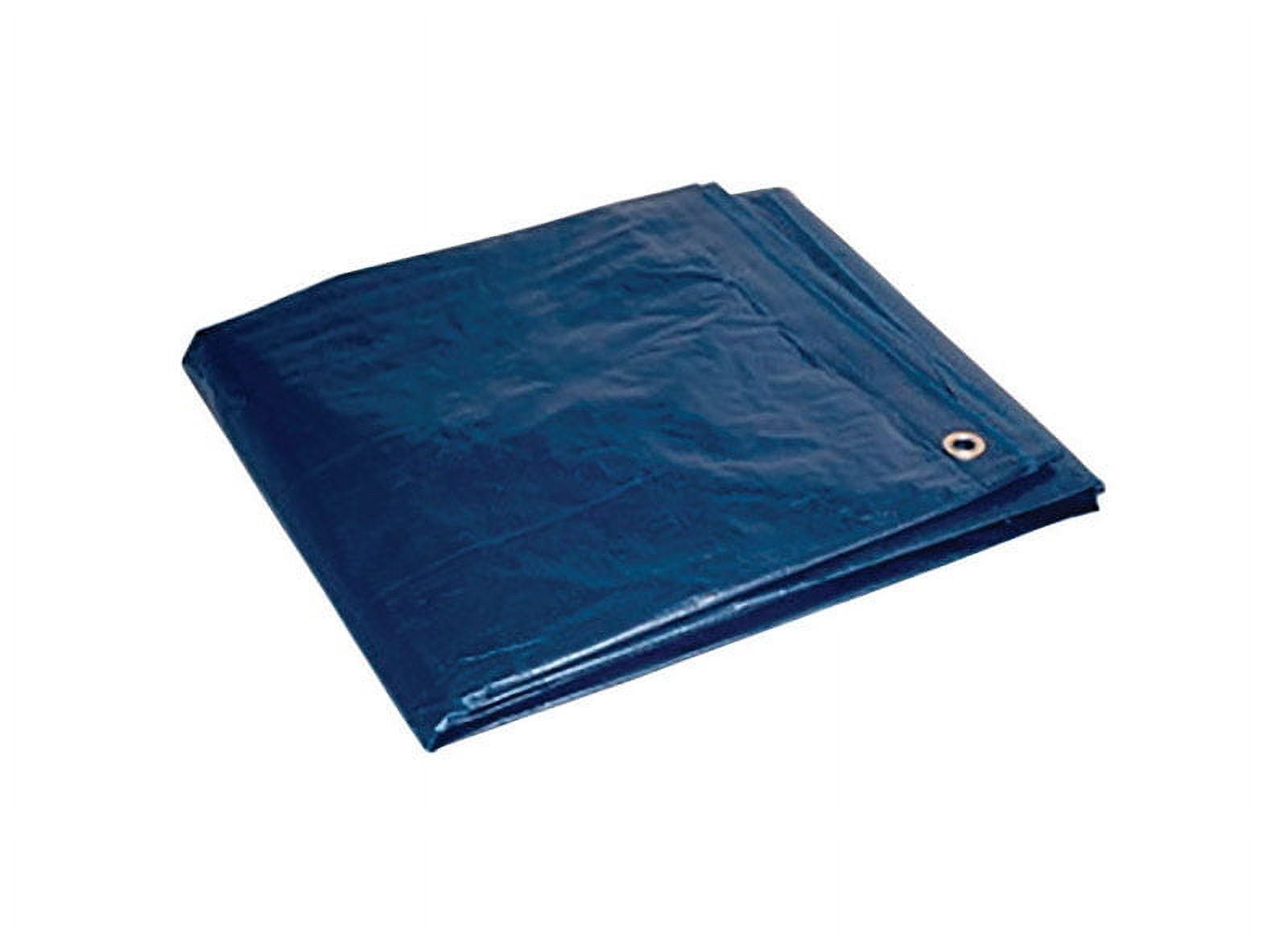Foremost 12 ft. x 16 ft. Heavy Duty Polyethylene Tarp Blue