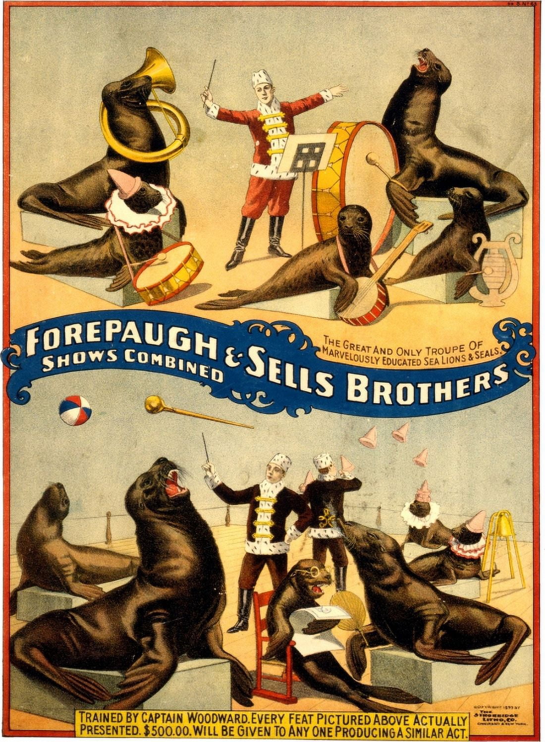 Forepaugh & Sells Brothers Shows Combined Circus Canvas Art -  (18 x 24)