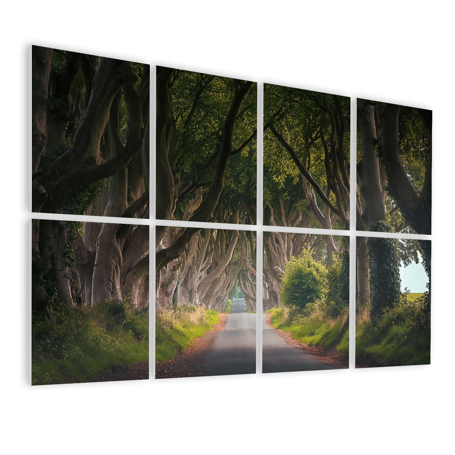 Forest 8 Pack Art Acoustic Panels Sound Absorbing Dark Hedges Northern Ireland sunset Decorative Soundproof Wall Panels Self Adhesive for Nursery Game Room Bedroom 48"x32"