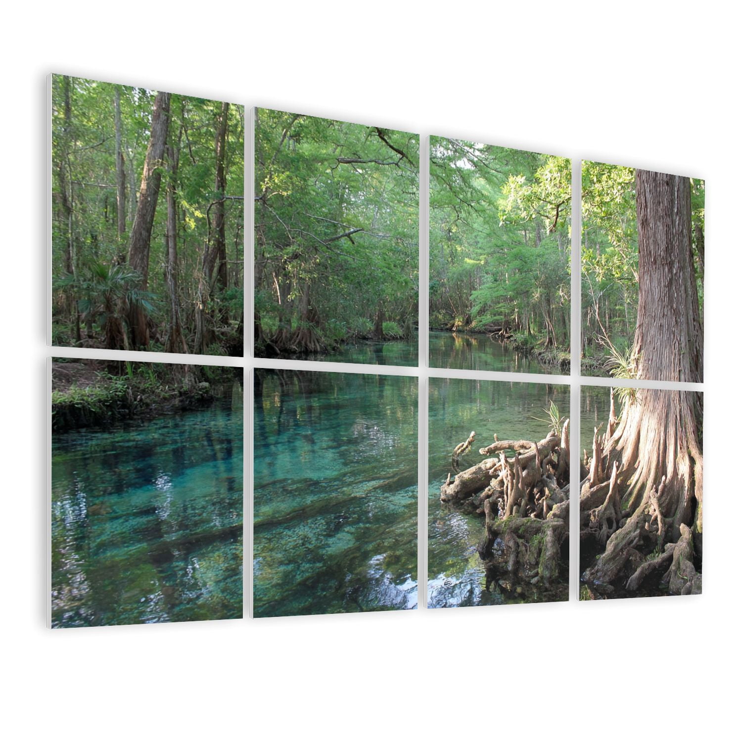 Forest 8 Pack Art Acoustic Panels Sound Absorbing Florida Fresh Water Springs Cypress Tree Swimming Hole Natural Decorative Soundproof Wall Panels Self Adhesive for Nursery Bedroom 48"x32"