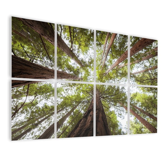 Forest 8 Pack Art Acoustic Panels Sound Absorbing Redwood forest Decorative Soundproof Wall Panels Self Adhesive for Nursery Game Room Bedroom 48"x32"