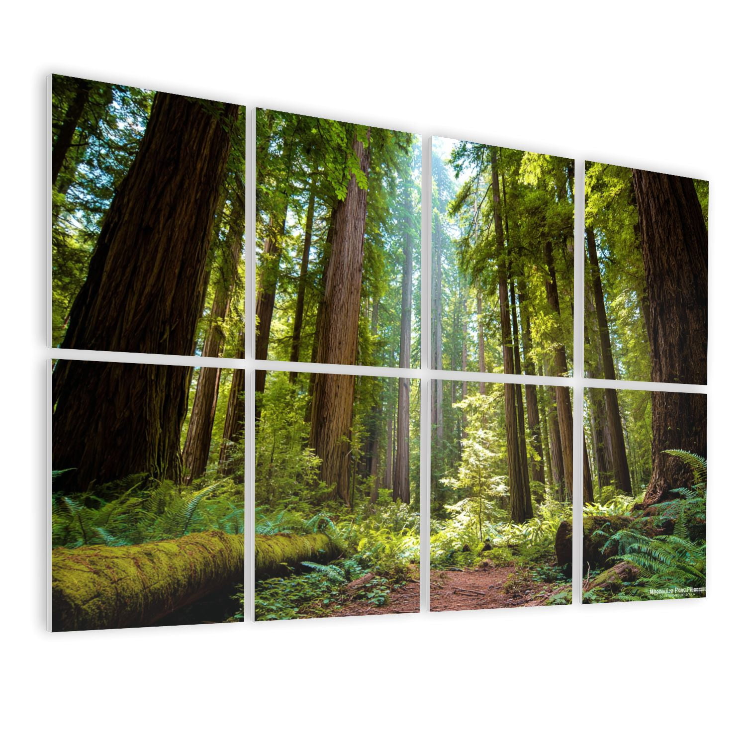 Forest 8 Pack Art Acoustic Panels Sound Absorbing redwood national park sequoias Decorative Soundproof Wall Panels Self Adhesive for Nursery Game Room Bedroom 48"x32"