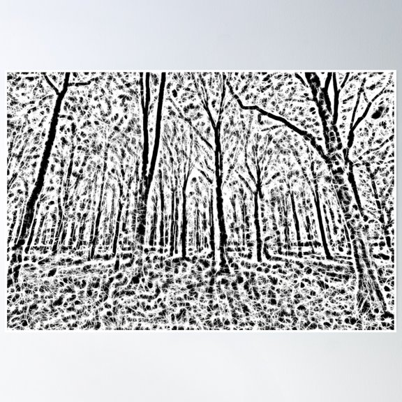 Forest Abstract Art Poster Wall Art, Modern Wall Decor, 12x18 UNFRAMED